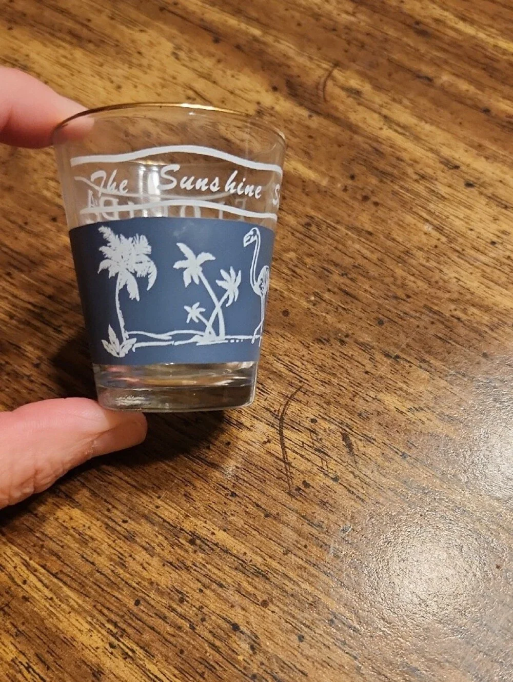 Florida Blue and White Glass Shot Glass